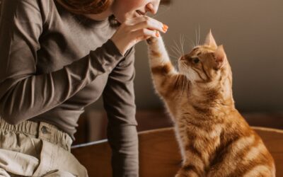 🐾  Animal Wisdom: Life Lessons Our Animal’s Teach Us